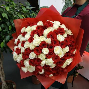 Букет из 101 розы (красные и белые розы) артикул букета: 136720