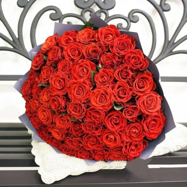 Красная роза Эквадор 51 шт код товара  238320