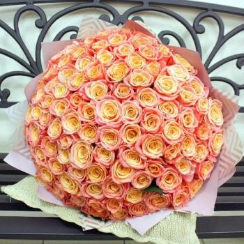 Букет Оранжевые розы Эквадор 101 шт (50 см) артикул  238880